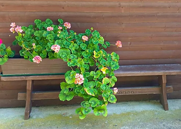 Ferienhaus In Trahuetten